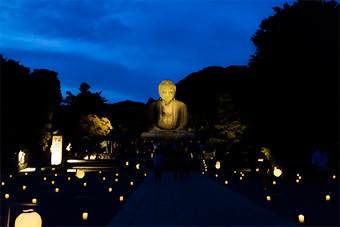 鎌倉大仏「長谷の灯かり」