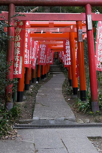 鎌倉　佐助稲荷神社の鳥居