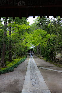 鎌倉　寿福寺の参道