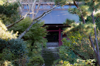 鎌倉　妙法寺