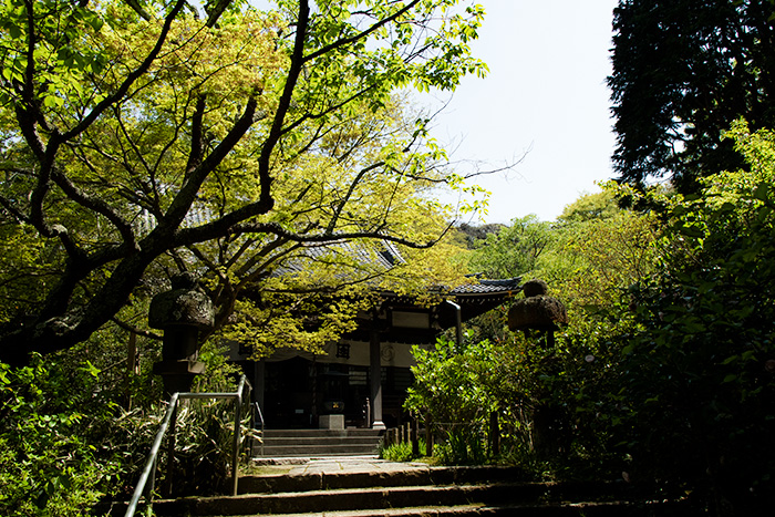 鎌倉　安国論寺