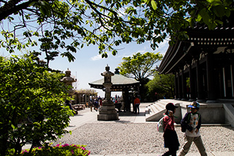 鎌倉　長谷寺