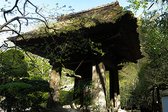 鎌倉　報国寺の鐘楼