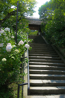 北鎌倉　東慶寺