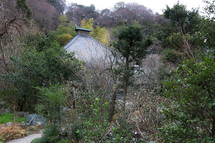 鎌倉　光則寺の庭園
