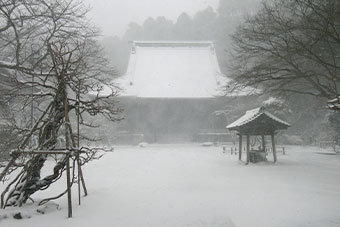 鎌倉　大雪の妙本寺