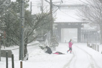鎌倉　雪で遊ぶ子ども