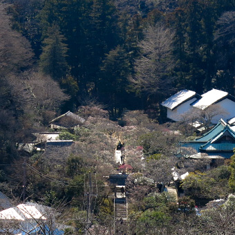 北鎌倉　円覚寺の弁天茶屋からの眺望