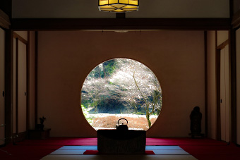 明月院へのアクセス 行き方と楽しみ方 楽しい鎌倉