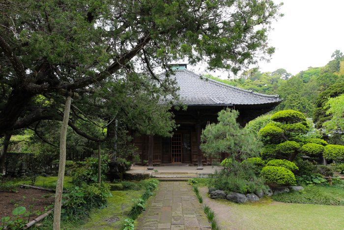 鎌倉　寿福寺の仏殿