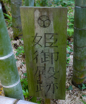 鎌倉　英勝寺の竹林