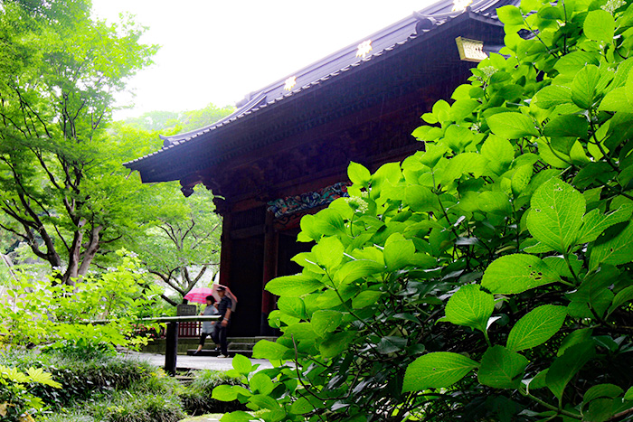 鎌倉　妙本寺