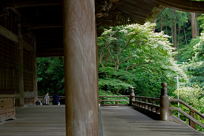 鎌倉　妙本寺の祖師堂