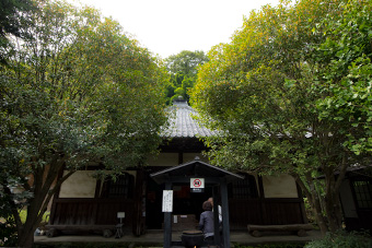 北鎌倉　円応寺の金木犀