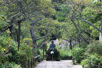北鎌倉　東慶寺の秋の草花