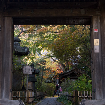鎌倉　安国論寺の紅葉