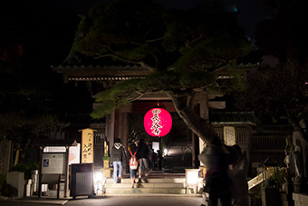 鎌倉　元日の長谷寺