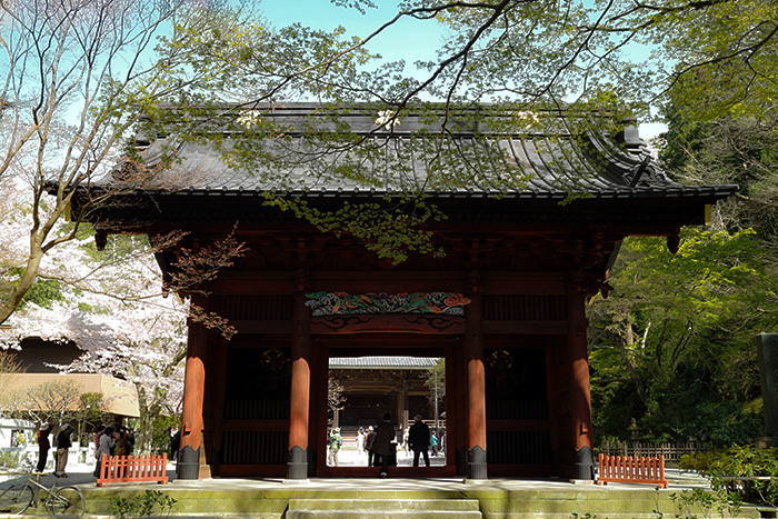 鎌倉　妙本寺の二天門