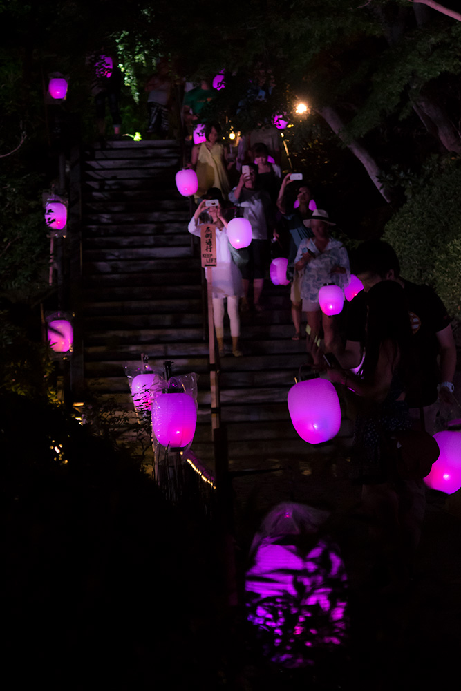 提灯もってぶらっと境内をお散歩 長谷寺 楽しい鎌倉