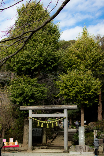 鎌倉　葛原岡神社