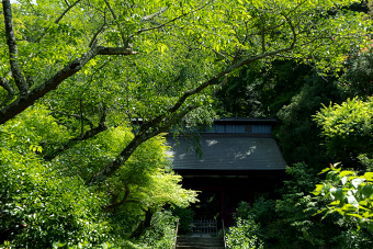 鎌倉　妙法寺
