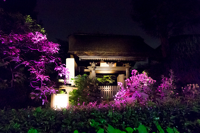 「長谷の灯かり」極楽寺