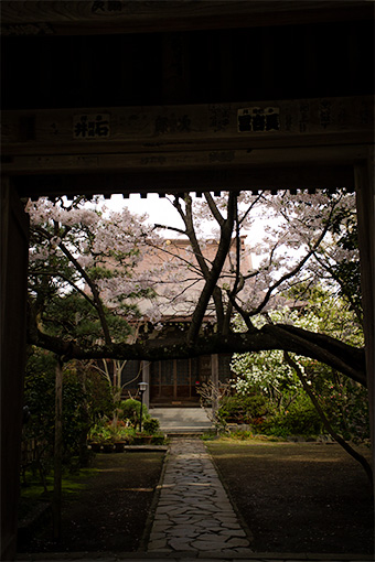 鎌倉　教恩寺