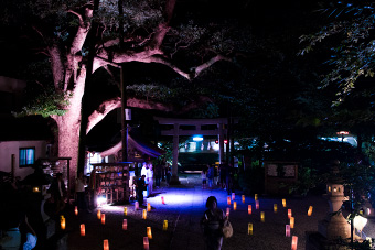 鎌倉　権五郎神社「長谷の灯かり」