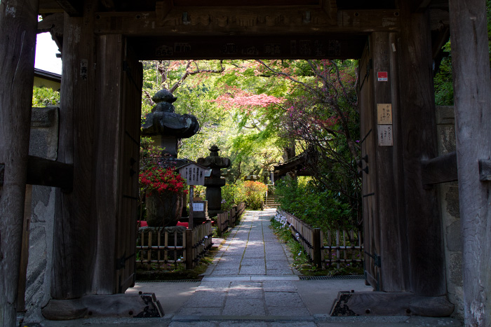 鎌倉　安国論寺