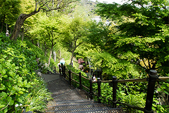 鎌倉　長谷寺の眺望散策路